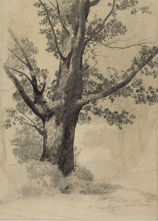 Odilon Redon Painting - Tree by Odilon Redon