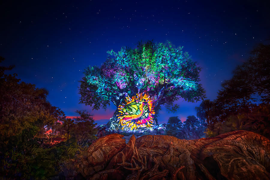 Tree of Life Awakenings at Animal Kingdom Photograph by Mark Andrew Thomas  - Pixels
