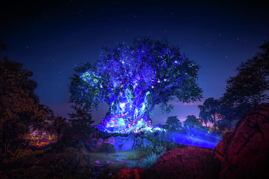 Tree of Life Awakenings Photograph by Mark Andrew Thomas