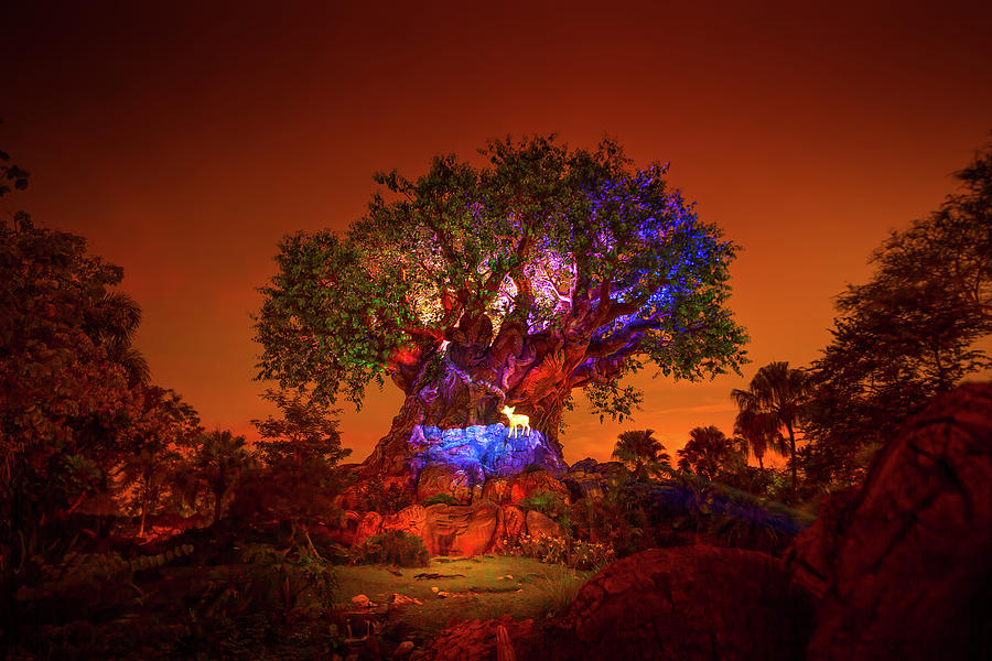 Tree of Life Awakenings Show  Photograph by Mark Andrew Thomas