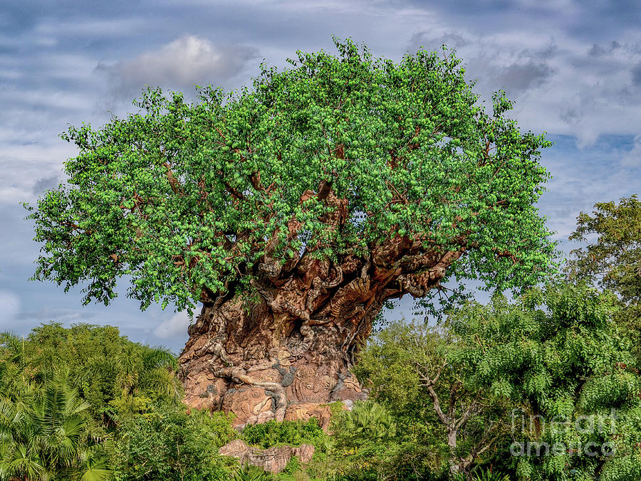 Tree of Life - Disney World in Orlando Florida Photograph by Dale Powell