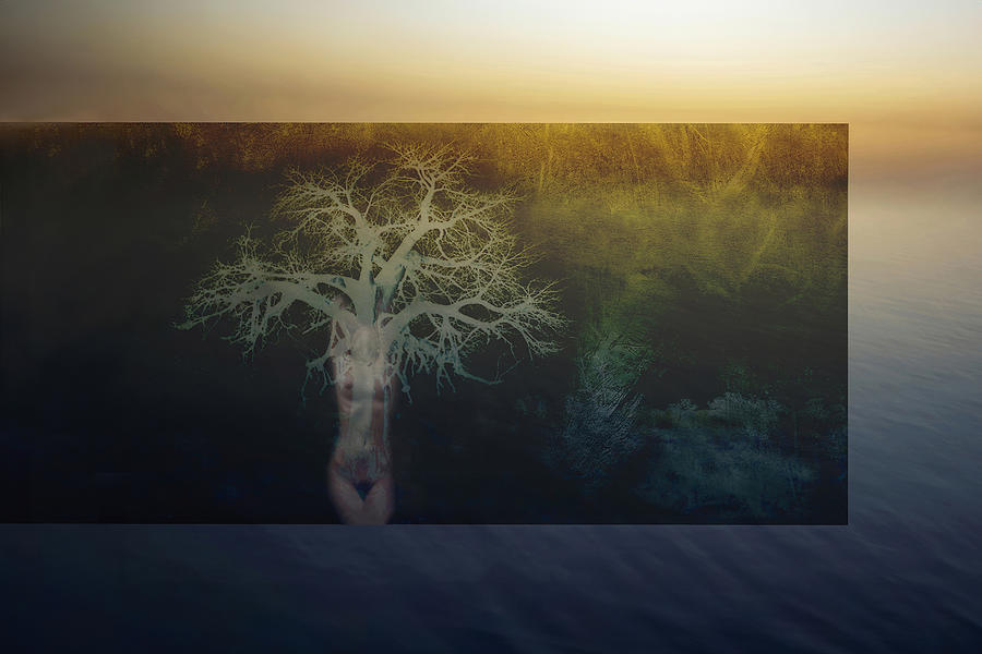 Tree Of Life Photograph by Giuseppe Satriani