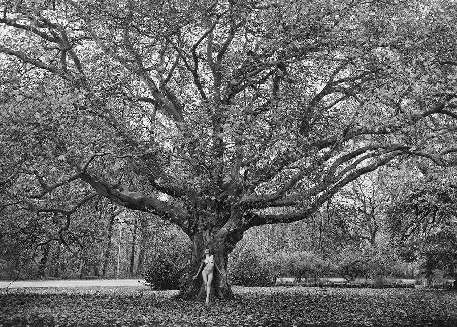 Tree Photograph - Tree Of Life by Lukas Kaminski