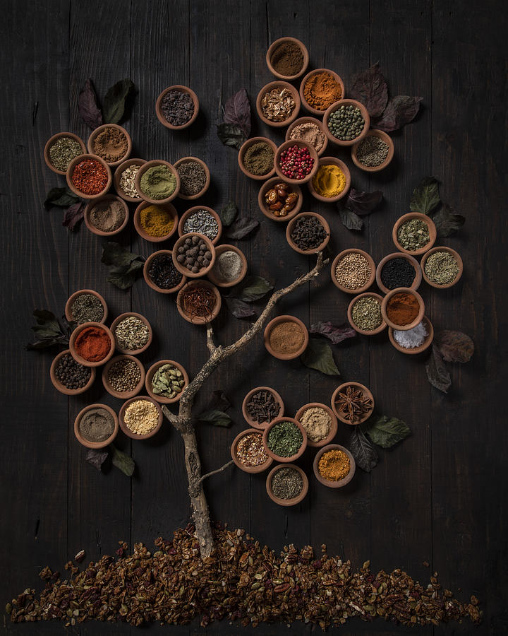 Still Life Photograph - Tree Of Spice by Diana Popescu