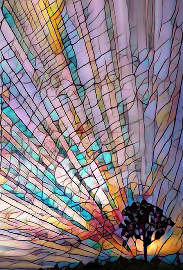 Tree on the Hill Under a Stained Glass Rainbow Photograph by Debra and Dave Vanderlaan