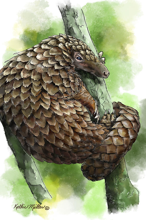 Pangolin Painting by Kathie Miller