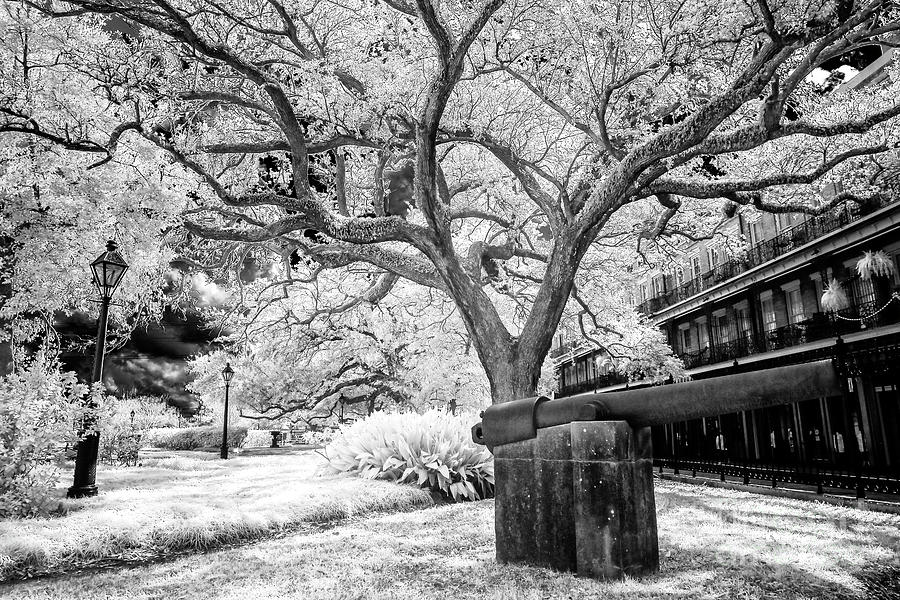 Tree Pattern in Jackson Square New Orleans Infrared Photograph by John Rizzuto