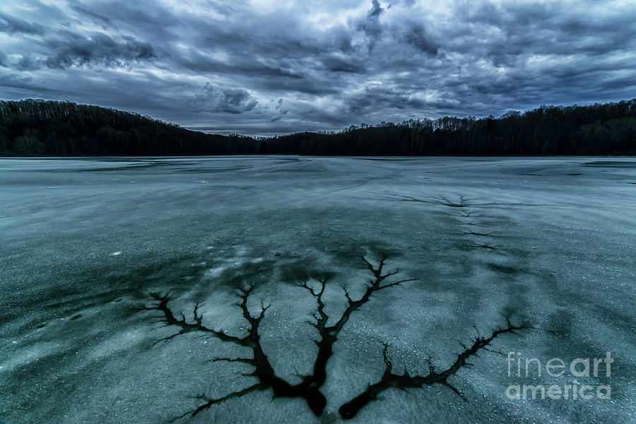 Tree Pattern Melting Ice Photograph by Thomas R Fletcher