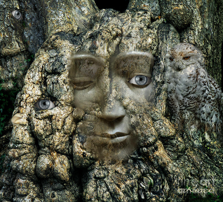 Tree People Photograph by Kira Bodensted