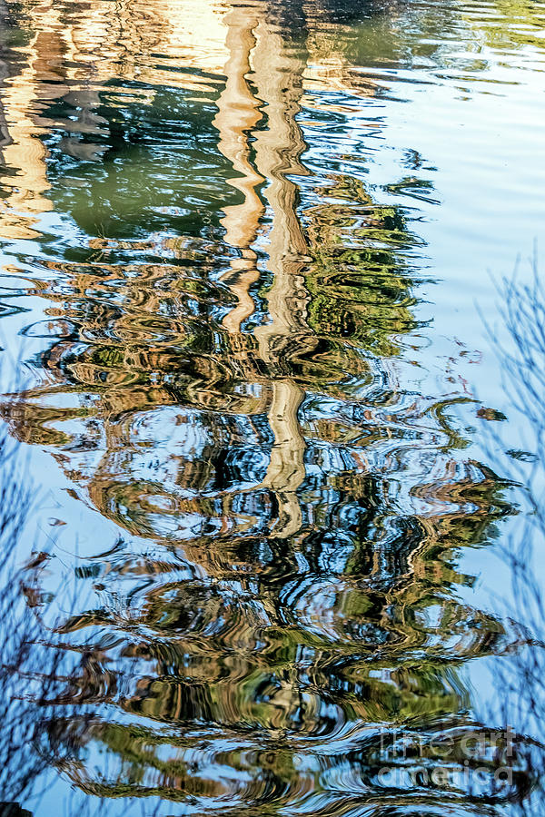 Tree Reflection Abstract Photograph by Kate Brown