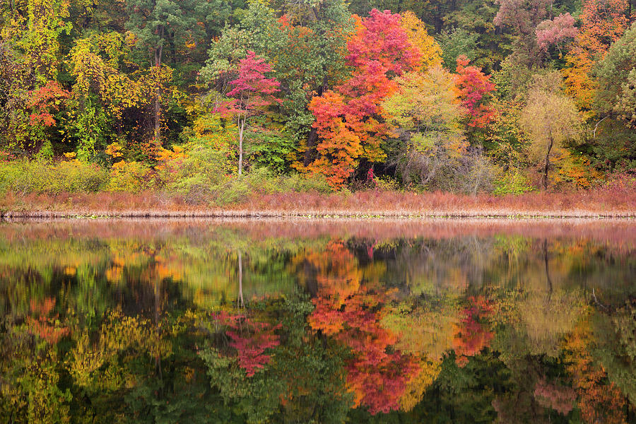 Tree Reflections #2, Tipton, Michigan ?13-color Photograph by Monte ...