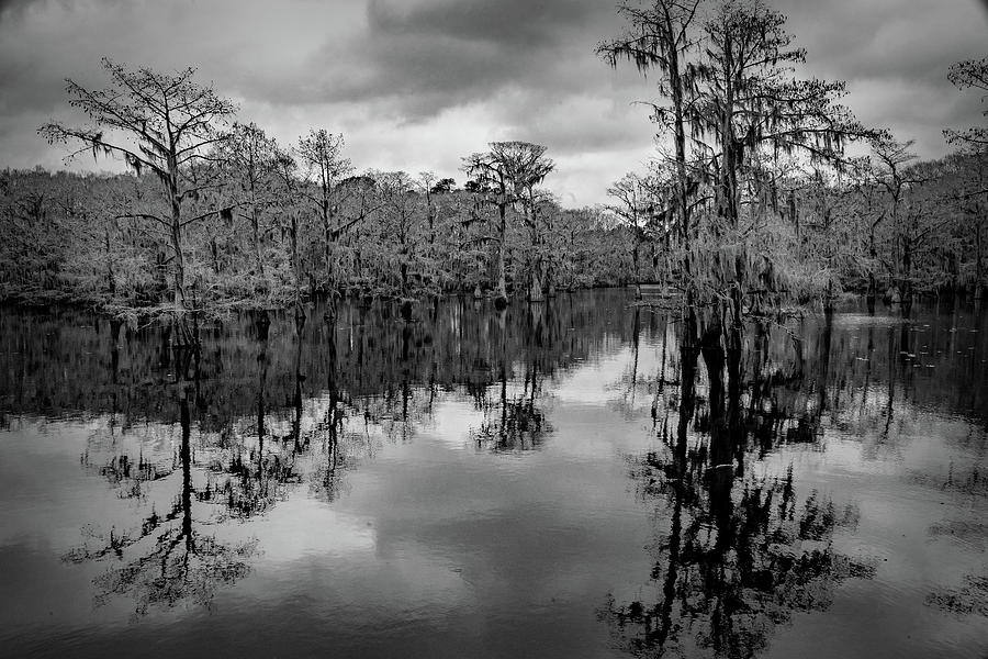 Tree Reflections Photograph by David Heilman