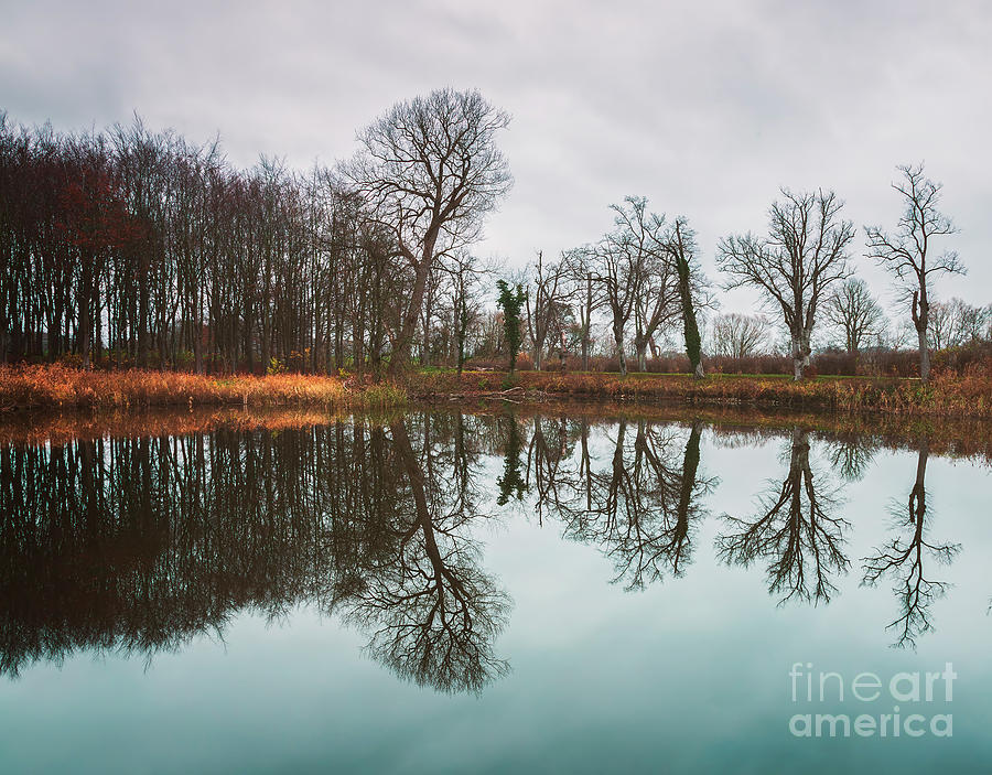 Tree reflections in lake Photograph by Sophie McAulay