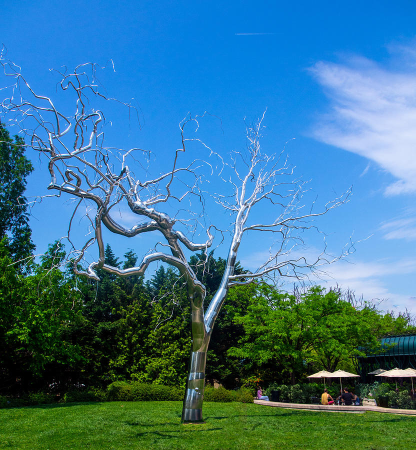 Tree Sculpture in the National Gallery of Arts Sculpture Garden Photograph by L Bosco
