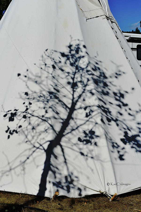 Tree Shadow on Teepee Photograph by Kae Cheatham