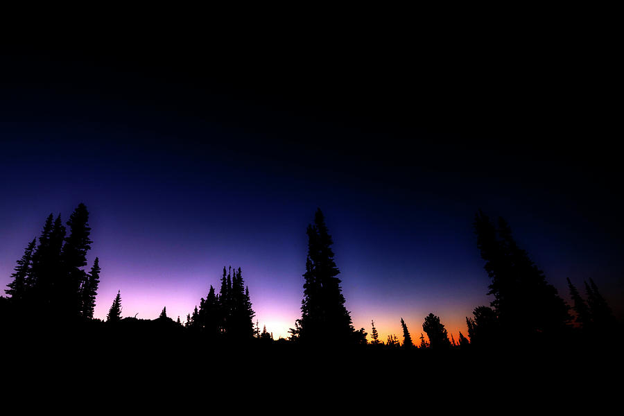 Tree Silhouette Sunrise Photograph by Pelo Blanco Photo