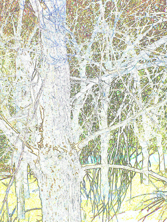 Tree Sketches Abstract Digital Art by Cathy Anderson