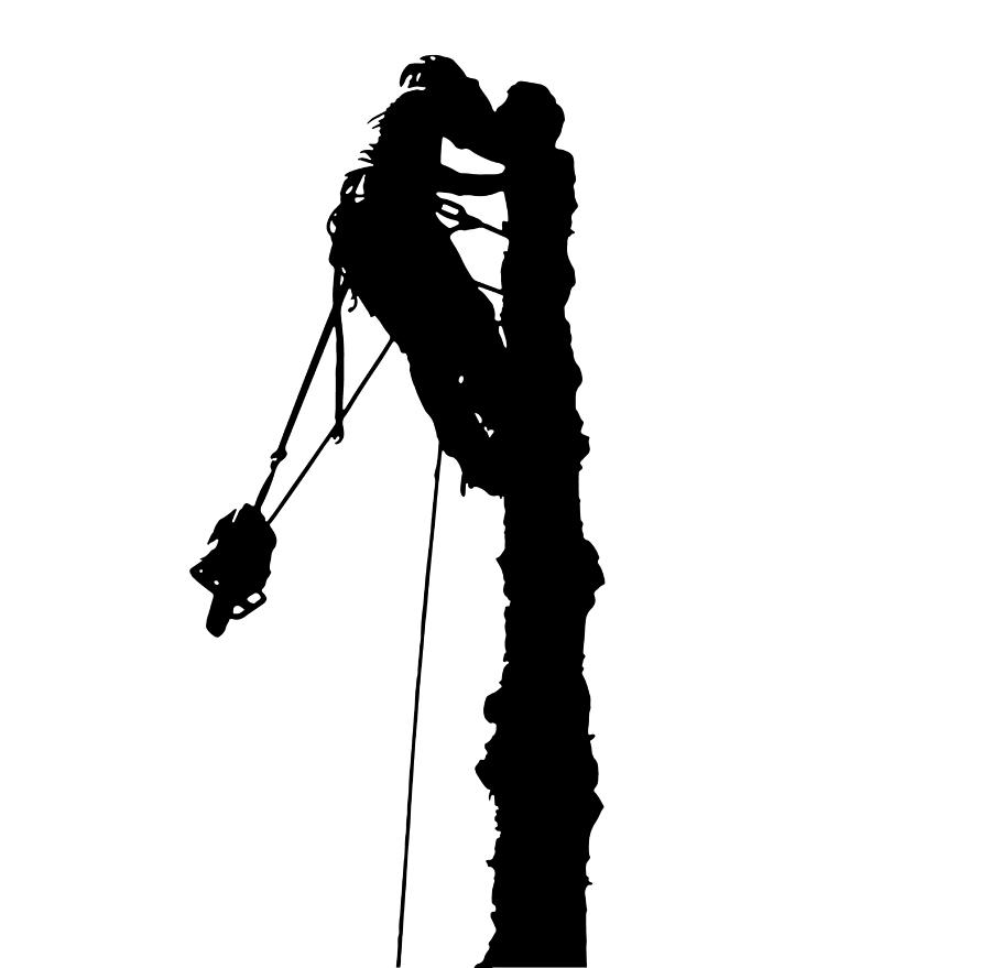 Tree Surgeon Silhouette 2  Digital Art by Roy Pedersen