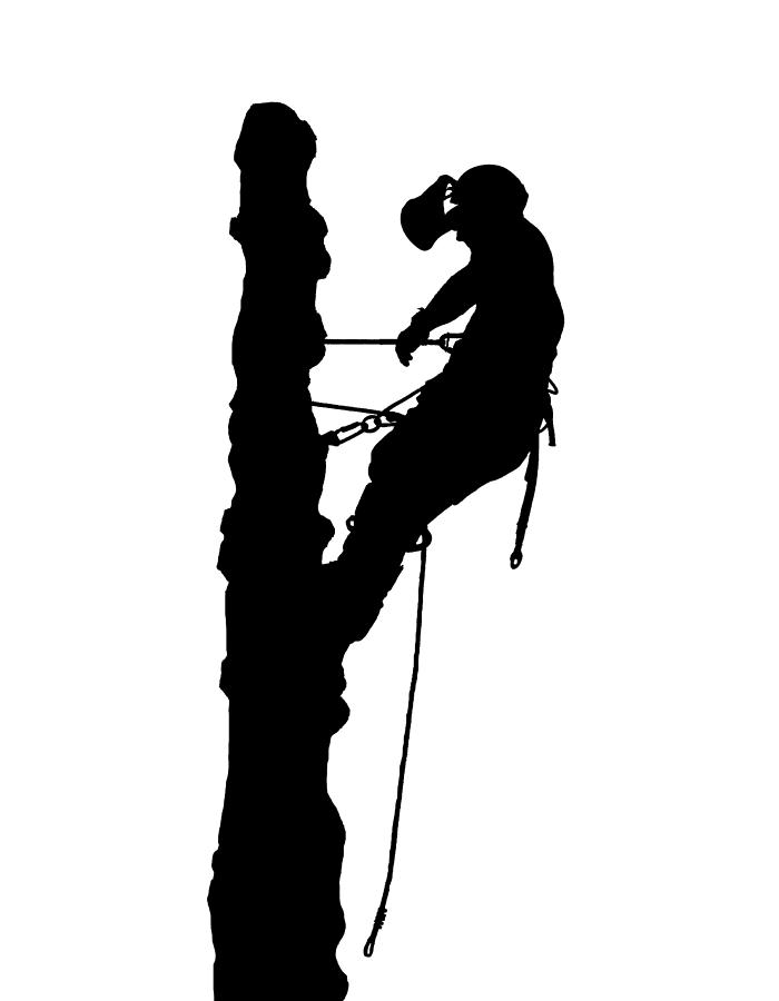 Tree Surgeon Silhouette 3 Digital Art by Roy Pedersen