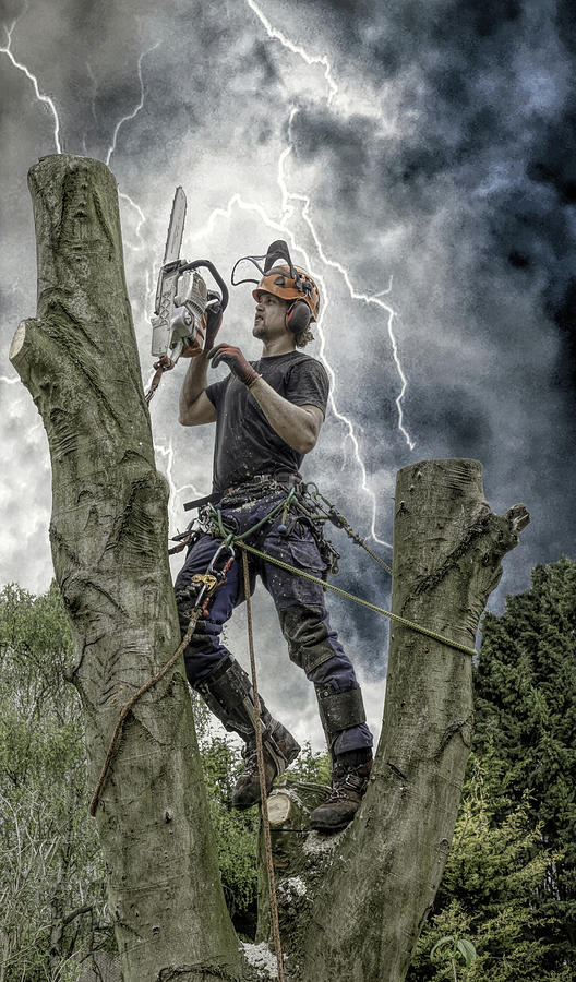Tree Surgeon Storm 2 Photograph by Roy Pedersen