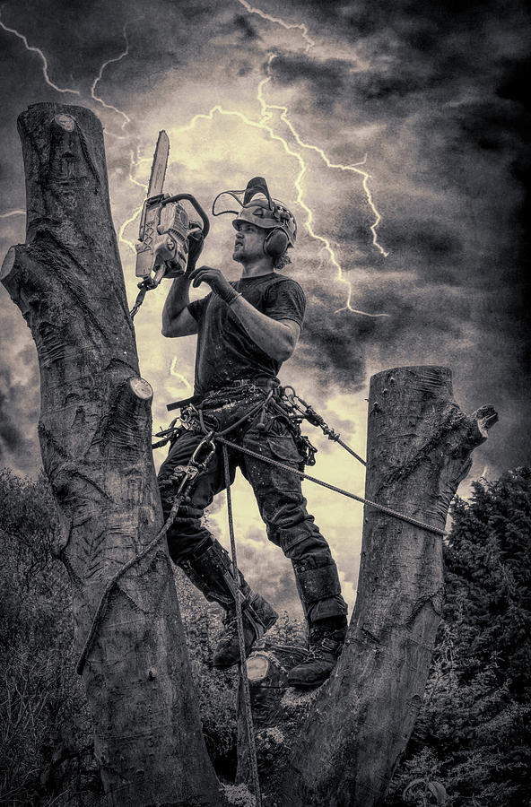 Tree Surgeon Storm  Photograph by Roy Pedersen