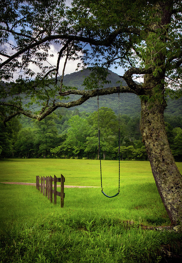 Tree Swing Photograph by Greg and Chrystal Mimbs