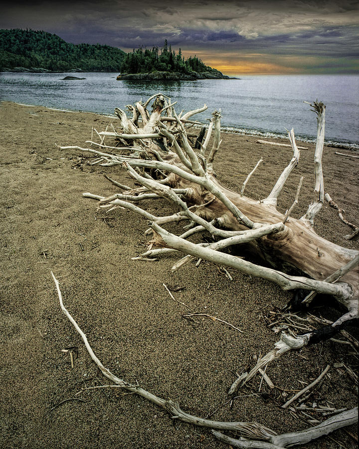 Tree trunk on Driftwood Beach at Sunrise near WaWa Ontario Photograph by Randall Nyhof