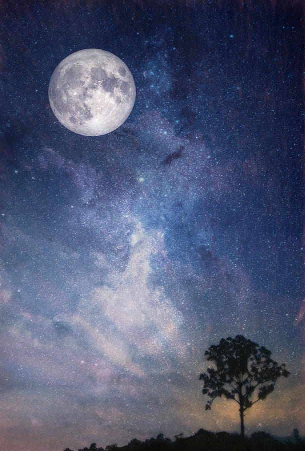 Tree Under the Full Moon Photograph by Debra and Dave Vanderlaan