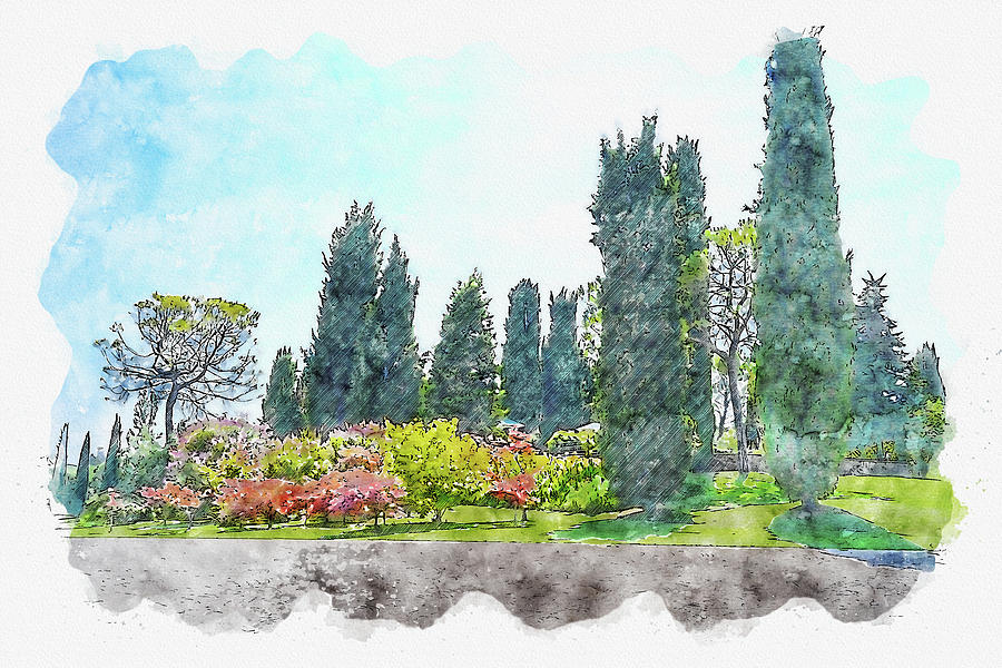 Tree #watercolor #sketch #tree #green Digital Art by TintoDesigns