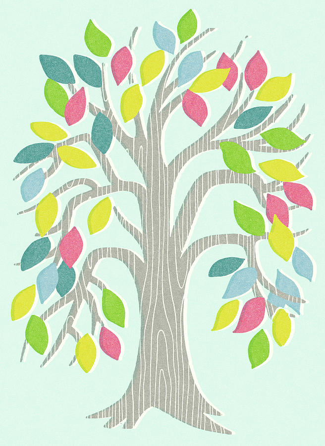 Fall Drawing - Tree With Multicolored Leaves by CSA Images