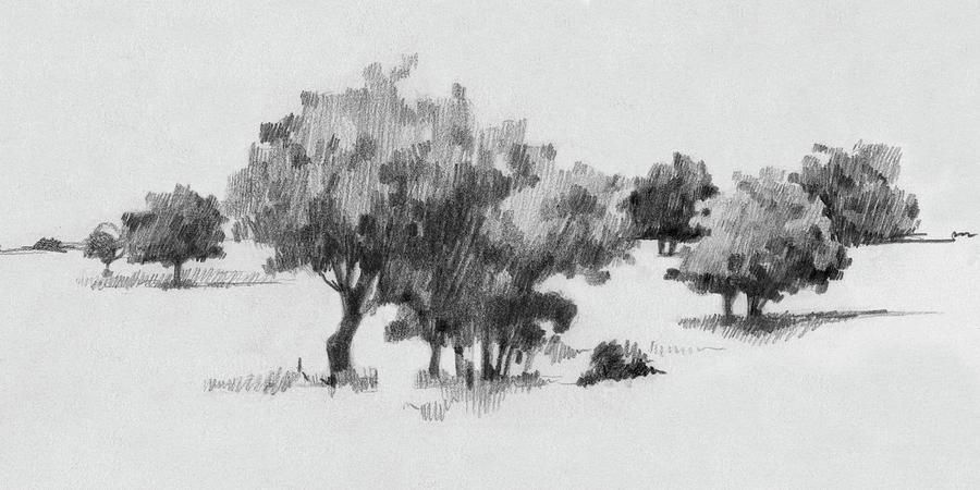 Treeline Sketch II Painting by Emma Caroline - Fine Art America