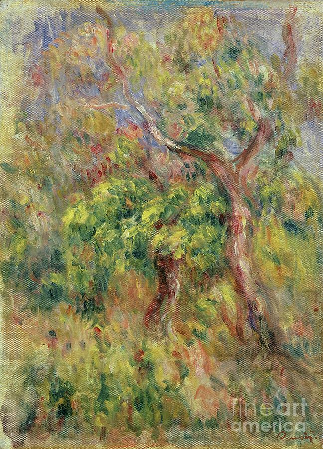 Trees, 1915-16 Painting by Pierre Auguste Renoir