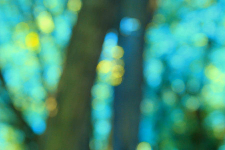 Trees 3060 Sea Green by AJP Trees 3060 Sea Green by AJP