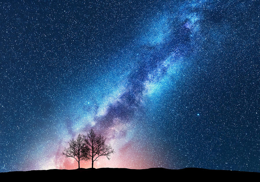 Trees Against Starry Sky With Milky Photograph by Denys Bilytskyi ...