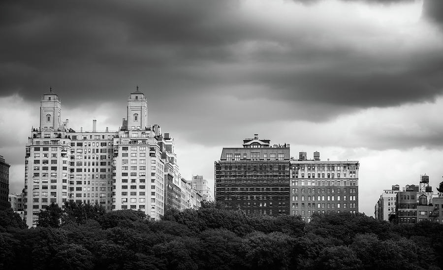 Trees And Big Buildings In Black and White Photograph by Greg and Chrystal Mimbs