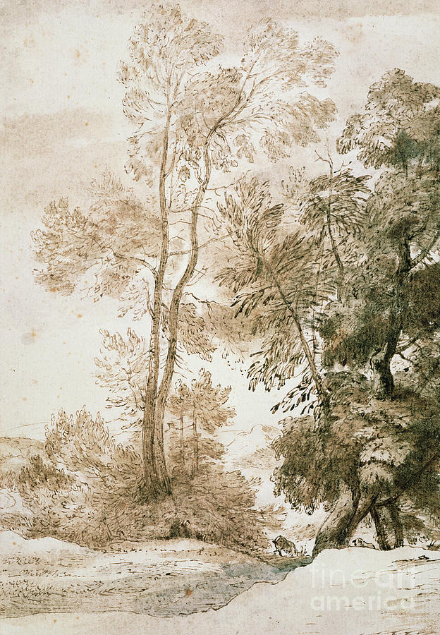 Trees And Deer, After Claude, 1825 Drawing by John Constable