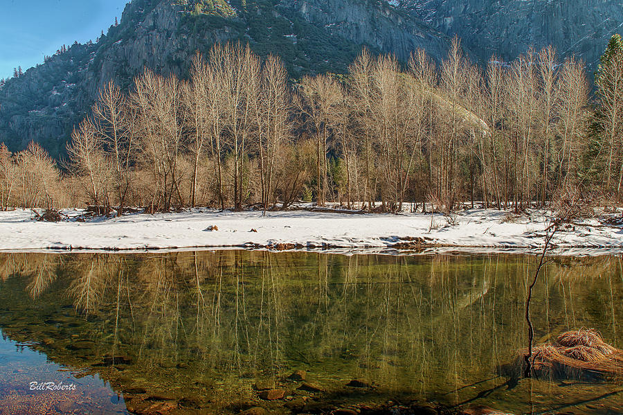 Trees and Merced River Photograph by Bill Roberts