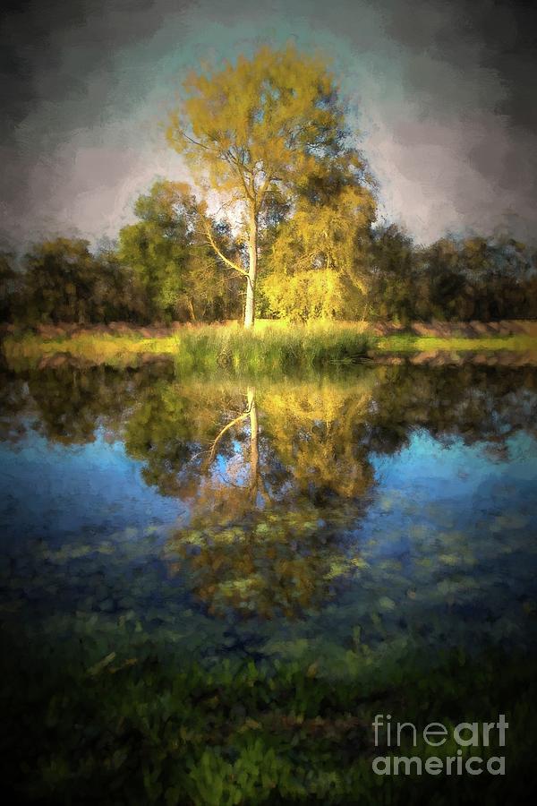 Trees and pond Digital Art by Patricia Hofmeester