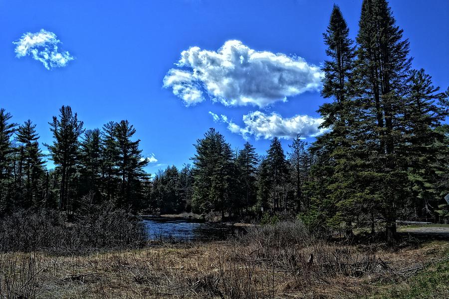Spring Photograph - Trees and the Raquette River by Maggy Marsh