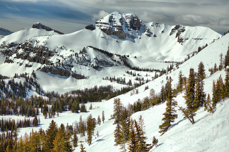 Trees At Rendezvous Peak Photograph by Adam Jewell
