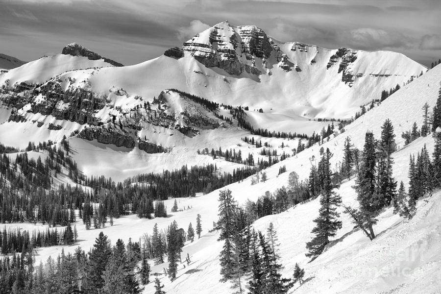 Trees At Rendezvous Peak Black And White Photograph by Adam Jewell