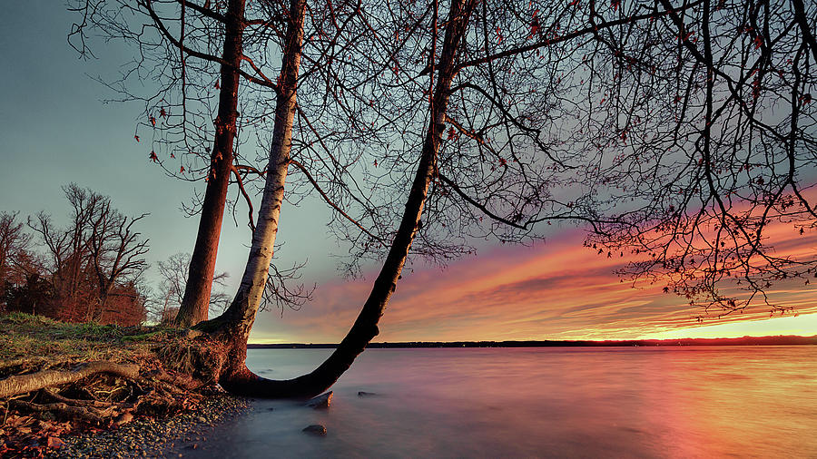 Trees At Sunrise On Lake Starnberg, Tutzing, Bavaria, Germany Photograph by Ulrike Eisenmann