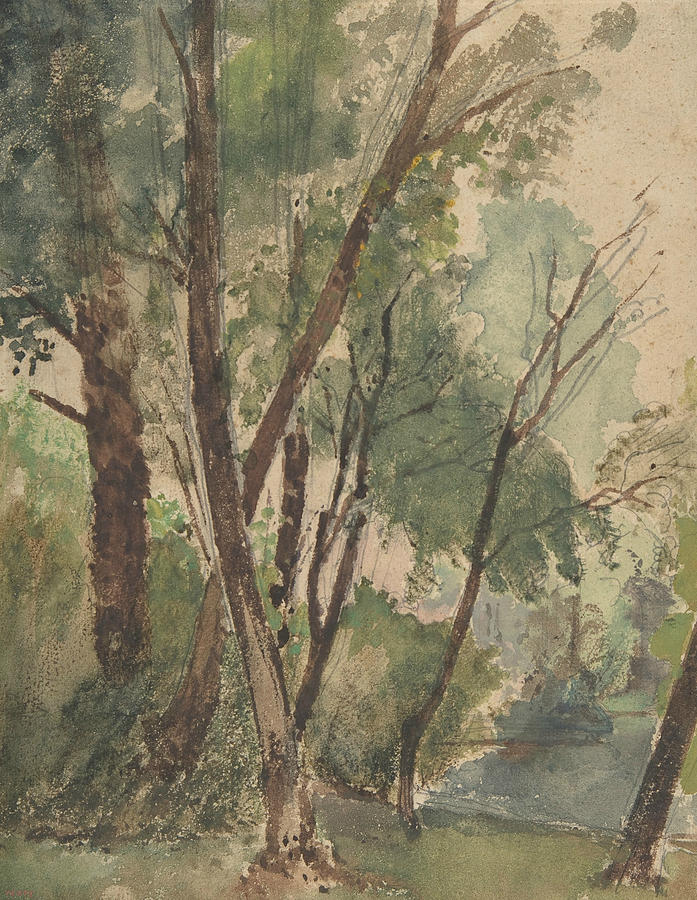 Trees Beside a Pond Drawing by Leon Riesener