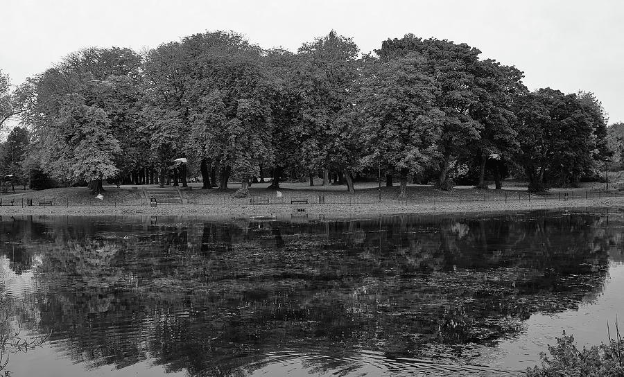 Trees By The Lake Monochrome Photograph by Jeff Townsend
