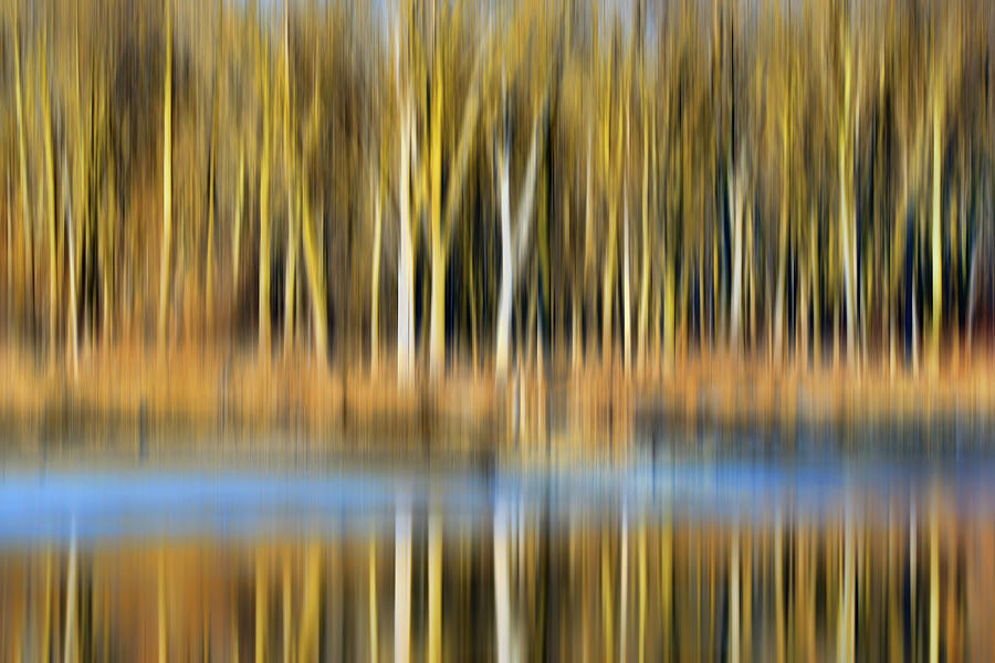 Trees - DeSoto Lake Photograph by Nikolyn McDonald