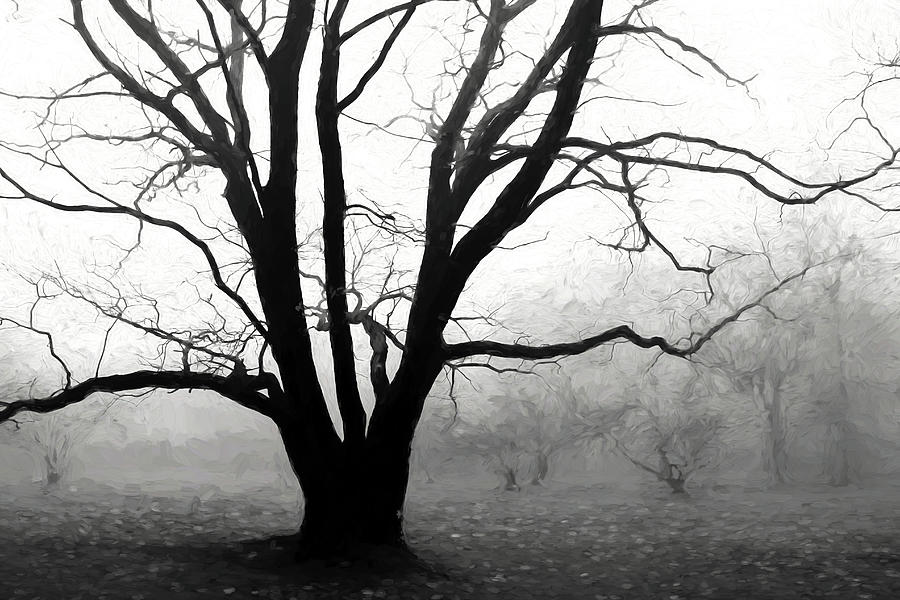 Trees in Fog Photograph by Allen Beatty