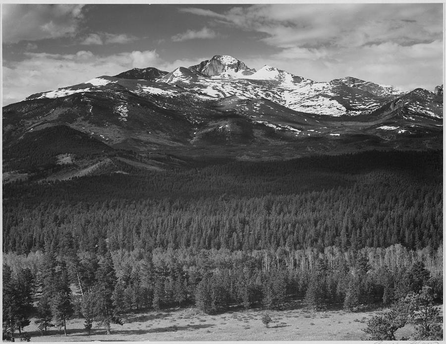 Trees in foreground snow covered mountain in background Longs Peak from North Rocky Mountain National Park Colorado. 1933 - 1942 Painting by Ansel Adams