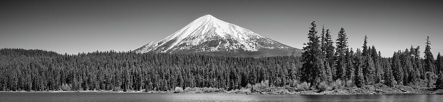 Black And White Photograph - Trees In Front Of A Snowcapped by Panoramic Images
