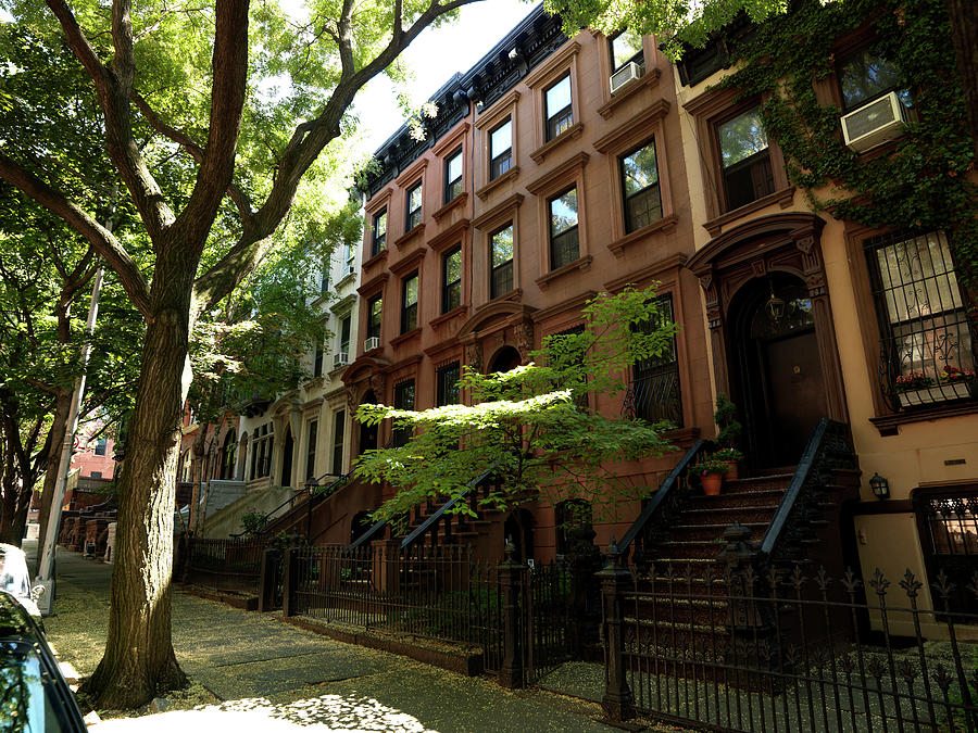 Trees In Front Of Brownstone Houses Photograph by Panoramic Images