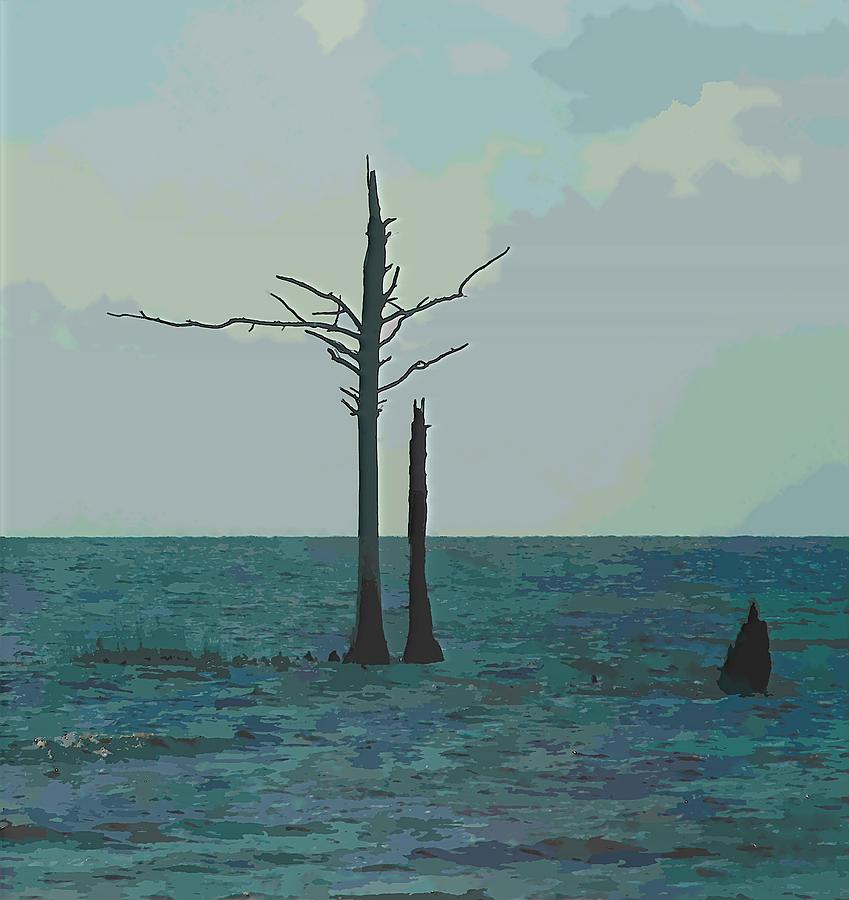 Trees In Pamlico Sound 3 Photograph